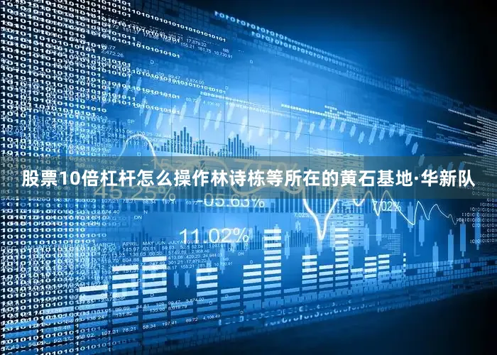 股票10倍杠杆怎么操作林诗栋等所在的黄石基地·华新队