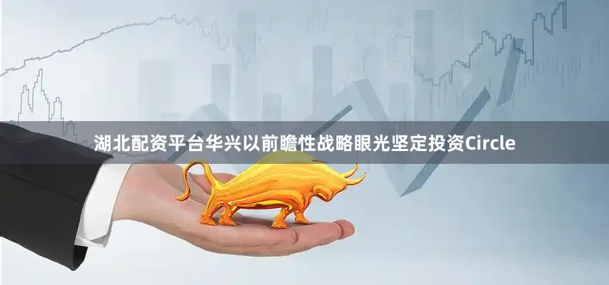湖北配资平台华兴以前瞻性战略眼光坚定投资Circle