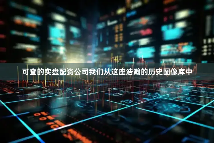 可查的实盘配资公司我们从这座浩瀚的历史图像库中