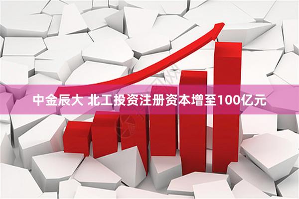 中金辰大 北工投资注册资本增至100亿元