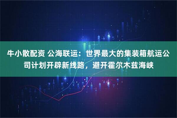 牛小散配资 公海联运：世界最大的集装箱航运公司计划开辟新线路，避开霍尔木兹海峡