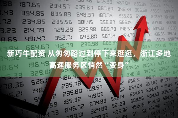 新巧牛配资 从匆匆路过到停下来逛逛,浙江多地高速服务区悄然“变身”